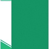 Папка для бумаг inФормат NP0165-60G с файлами (зеленый)