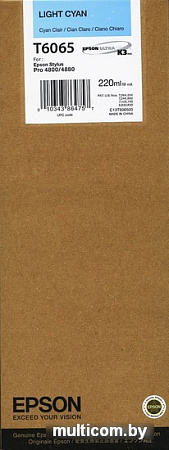 Картридж Epson C13T606500