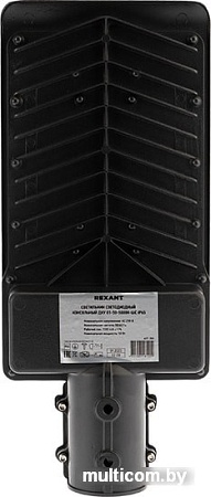 Городской фонарь Rexant 607-300