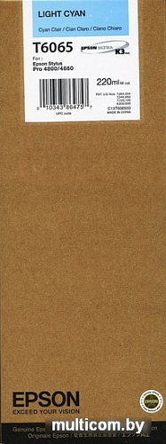 Картридж Epson C13T606500