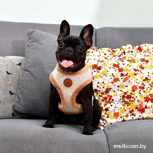 Шлейка Pinkaholic Zuri NASD-HA7505-BE-L (бежевый)