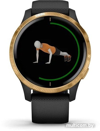 Умные часы Garmin Venu (черный/золотистый)