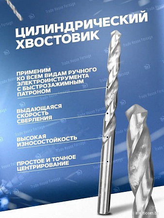 Набор сверл FORSAGE F-DBS13AS (60906)