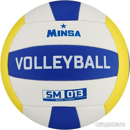 Мяч Minsa SM 013 7306809 (5 размер)