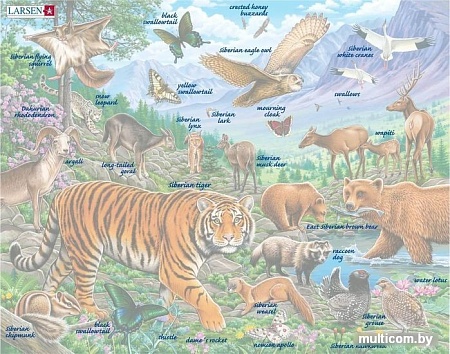 Мозаика/пазл Larsen Животные Сибири и Дальнего Востока FH39
