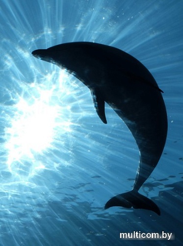 Картина Woodary 3021