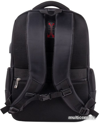 Дорожный рюкзак BRAUBERG Functional. Leader 270799