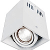 Точечный светильник Arte Lamp Cardani A5942PL-1WH