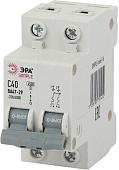 Выключатель автоматический ЭРА Simple-Mod-16 ВА47-29 2P 40А 4.5кА C Б0039233