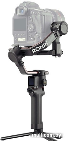 Стедикам DJI RS 2 Pro Combo