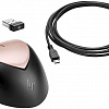 Мышь HP Envy Rechargeable 500 (черный/розовое золото)
