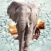 Фотообои Citydecor Слон 3D с защитным покрытием 300x254