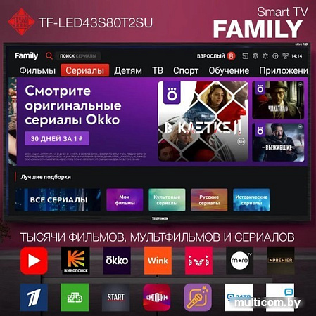 Телевизор TELEFUNKEN TF-LED43S80T2SU