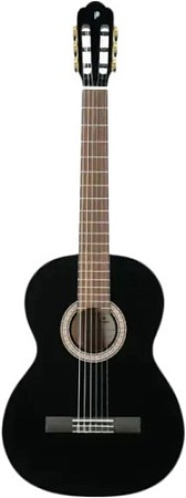 Акустическая гитара Prodipe Primera 3/4 BK