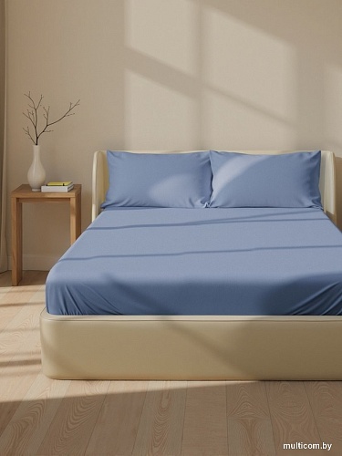 Постельное белье Sima-Land 10518585 (синий)