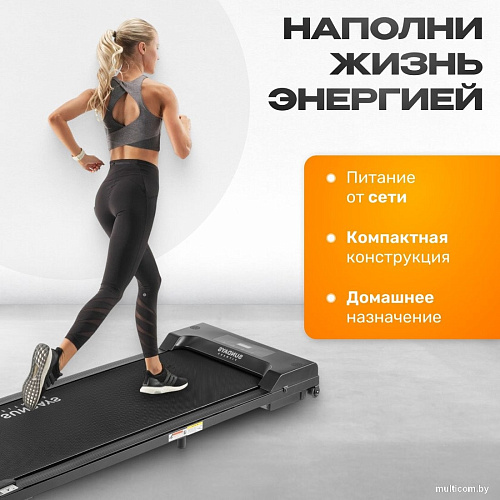 Электрическая беговая дорожка Sundays Fitness GB-TR380 (черный)