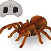 Интерактивная игрушка Best Fun Toys Паук на радиоуправлении 9986M