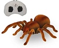 Интерактивная игрушка Best Fun Toys Паук на радиоуправлении 9986M