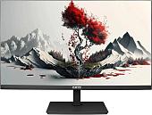 Монитор RDW Computers 2401K/F00В3120V2A1