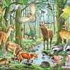 Мозаика/пазл Larsen Европейский лес FH17