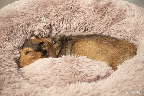 Лежак Beeztees Yali 716051 (бежевый)