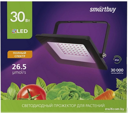 SmartBuy SBL-FLFITO-30-65K