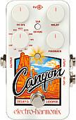 Гитарная педаль Electro-Harmonix Canyon Delay and Looper