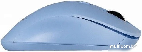 Мышь SmartBuy 616AG SBM616AGB (голубой)