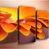 Модульная картина Arthata m-000482 120x80
