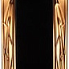 Lalique Noir Premier Terres Aromatiques EdP (100 мл)