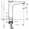 Однорычажный смеситель Hansgrohe Focus 31608000