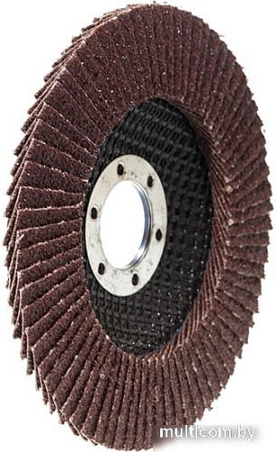 Шлифовальный круг Targ 663401