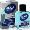 Лосьон после бритья Everjoy Aqua Di Mare Breeze (100 мл)