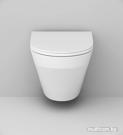 Унитаз AM.PM Inspire FlashClean IS49001.501700