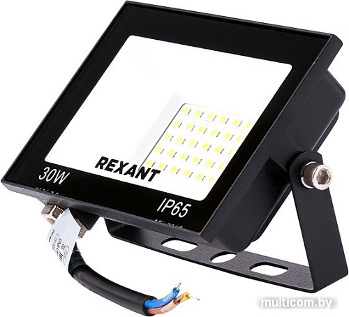 Уличный прожектор Rexant 605-032