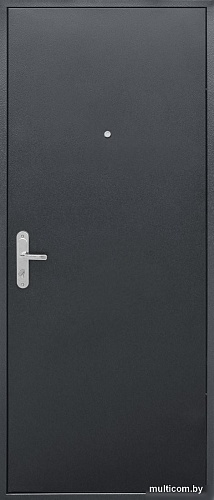 Металлическая дверь Guard Металл/металл Антик серебро (86x205, левая)