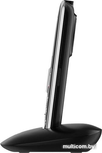 Мобильный телефон Maxvi B10 (черный)