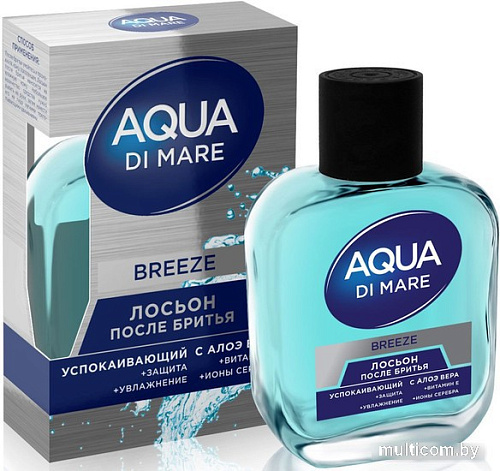 Лосьон после бритья Everjoy Aqua Di Mare Breeze (100 мл)