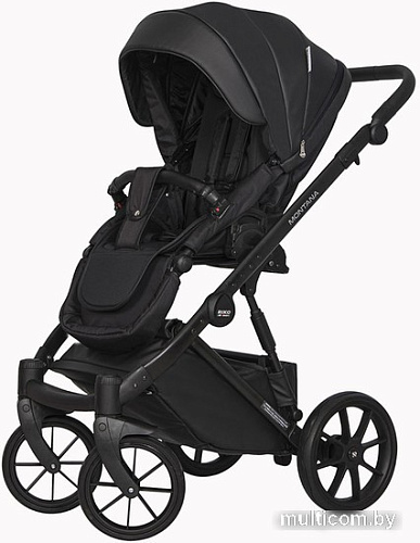 Универсальная коляска Riko Basic Montana Ecco (3 в 1, 12/черный)