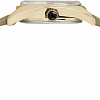 Наручные часы Timex TW2R69800