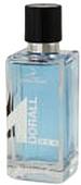 Туалетная вода Dorall Collection M Dorall Men EdT (100 мл)