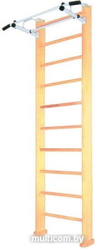 Детский спортивный комплекс Карусель 2Д.03.01 (светлый)