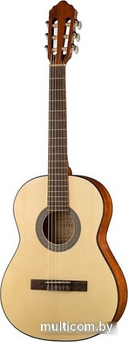 Акустическая гитара Parkwood PC90-WBAG-OP