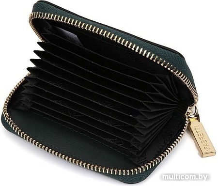 Визитница Fabretti 15101301N-151 (темно-зеленый)