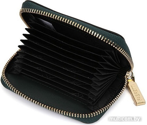 Визитница Fabretti 15101301N-151 (темно-зеленый)