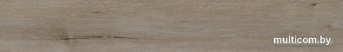 Виниловый пол Aspenfloor SPC Natural Touch Дуб Ривера 4V NT3-06