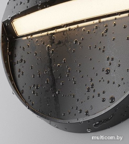 Уличный настенный светильник Maytoni Mane O046SL-L3B3K