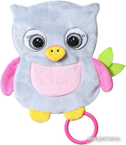 Сортер BabyOno Flat Owl Celeste 446