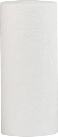 Картридж Гейзер PP5 10SL