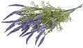 Искусственный цветок Forgarden Лаванда BN10841 (синий)